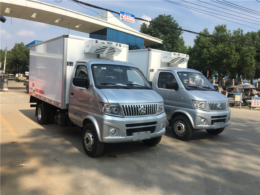 國(guó)六長(zhǎng)安神騏T20后雙胎冷藏車