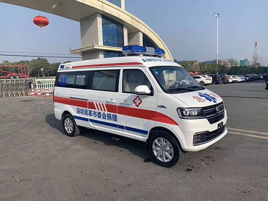（國六）金杯海獅救護車